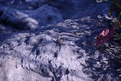 DSC_2014 (Large).JPG